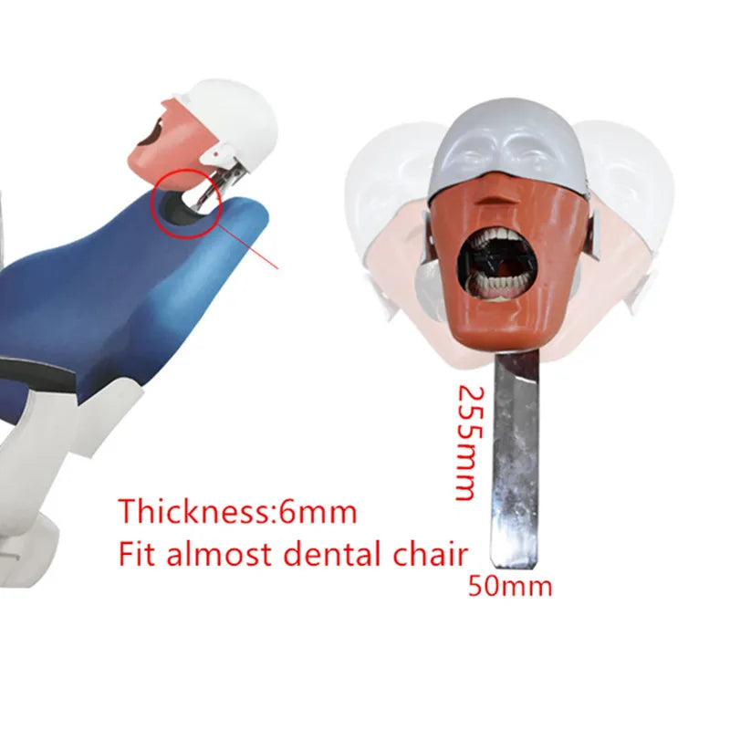 Dental Phantom Head Simulation Dental Training Teeth Head model  Install to Dental Chiar Dentist Practise Model