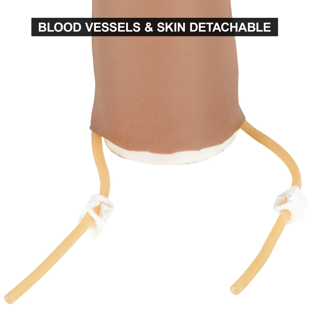 VEVOR Intravenous Practice Arm Kit PVC High Simulation Nurse Blood Drawing Practice Injection Model Asmr Medical School Supplies