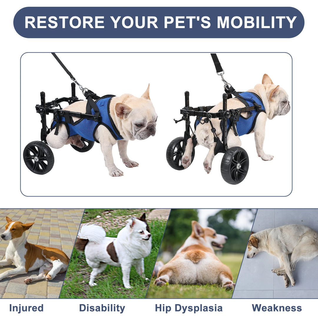 Big Wheel Dog Wheelchair For Back Legs Adjustable Mobility Aids For Disabled Pets Dog Leg Brace And Hip Support Adaptable