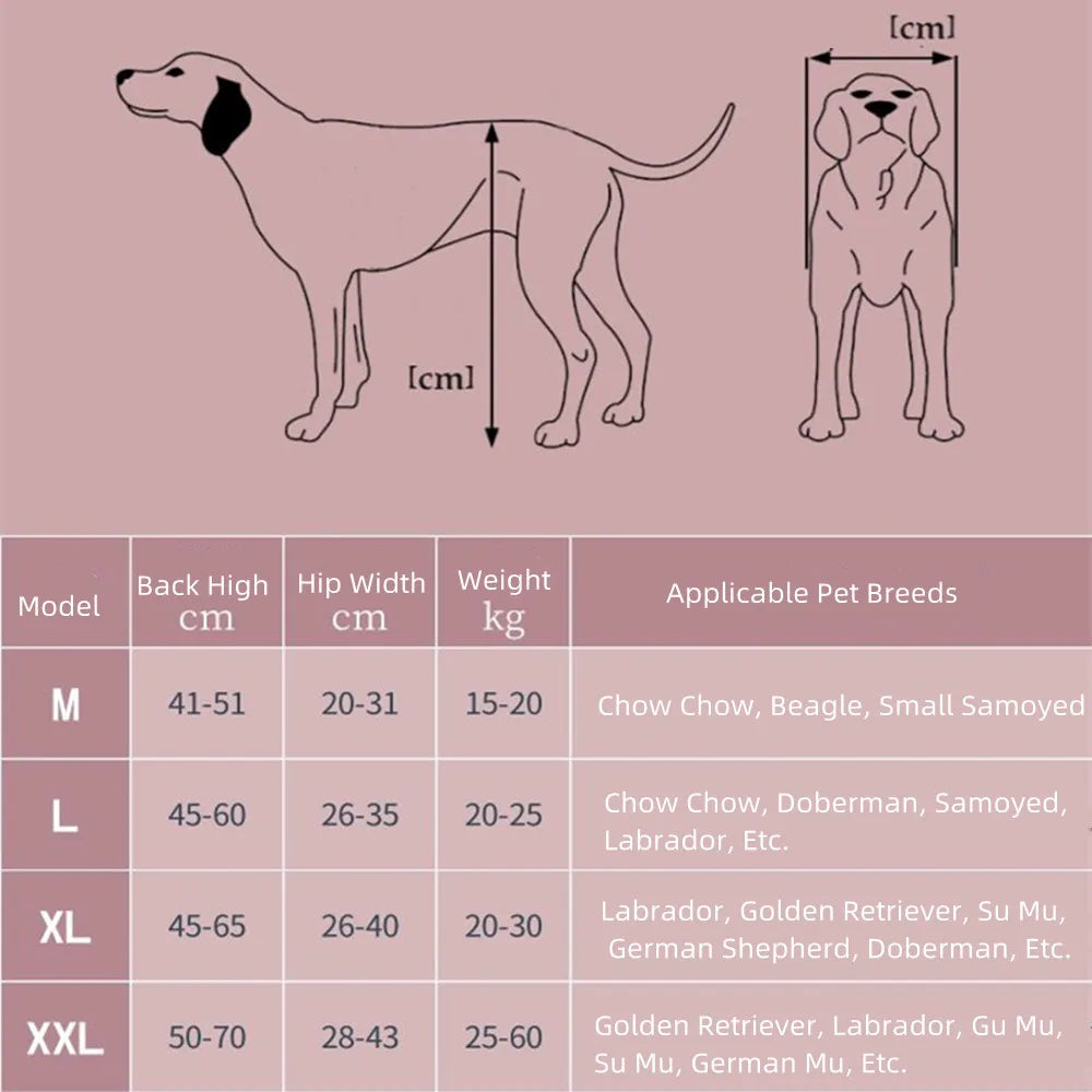 Medium and large dog wheelchair car pet hind limb lumbar paralysis rehabilitation training scooter