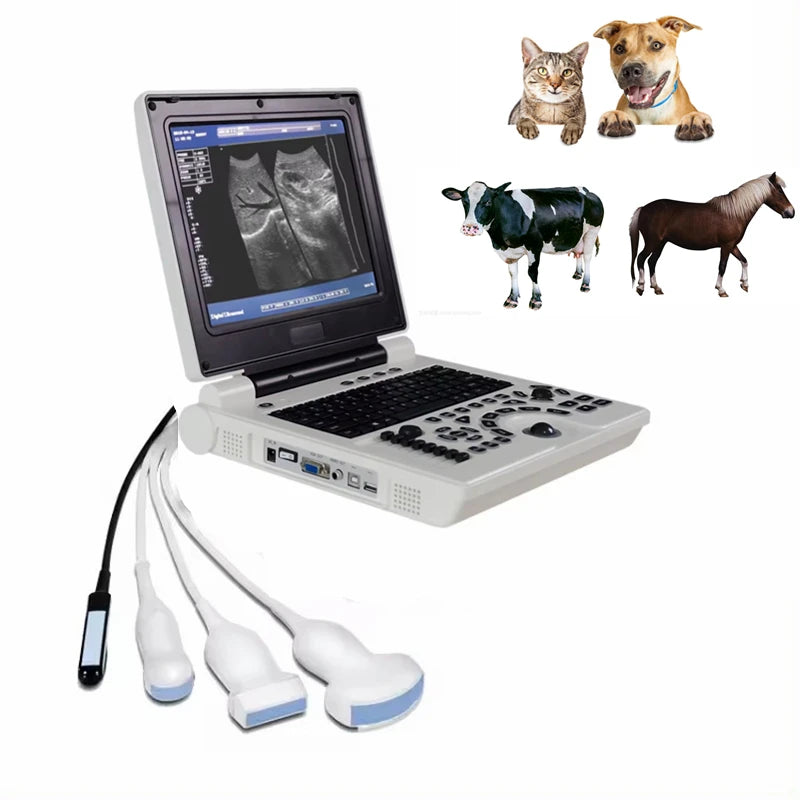 12 Inch LED Screen Black White Animal Notebook Portable Pet Veterinary Ultrasound Scanner USG Machine