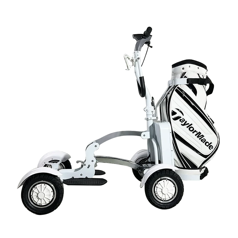 High Quality 2400W 48V Long Range Electric Golf Cart Family Electric Tricycle 4 Wheel Electric Scooter