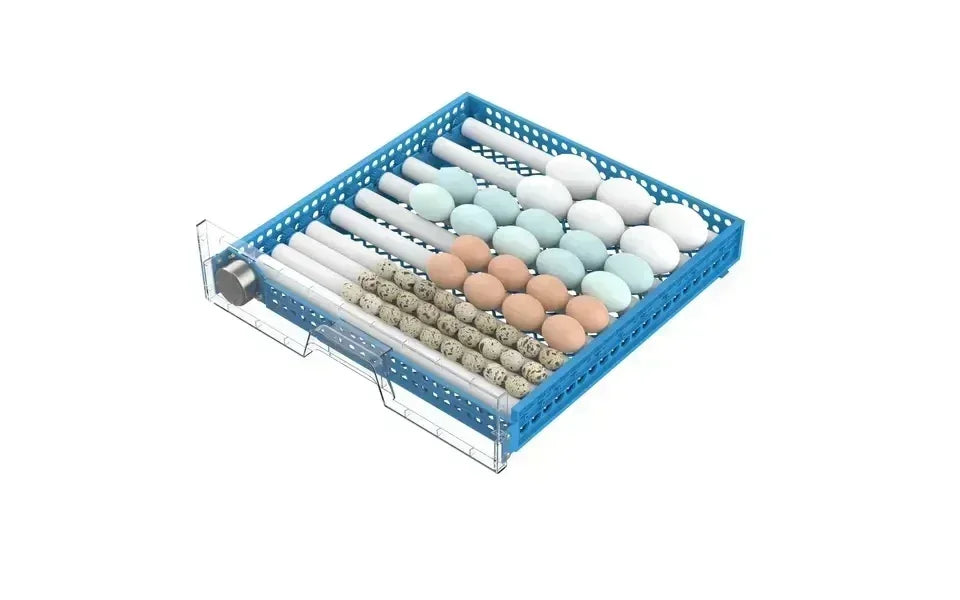 256-500 Capacity Egg Incubator Fully Automatic Dual Power Hatching Machine Chick Roller