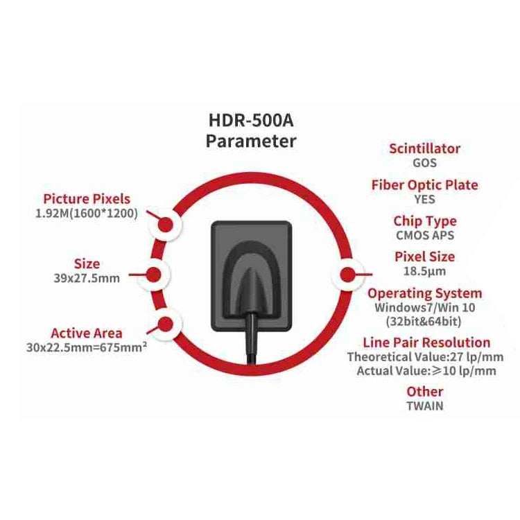 Manufacturer Price Cheap Clear Intraoral Imaging Portable Tooth Radiography Sensor For Dentist Clinic