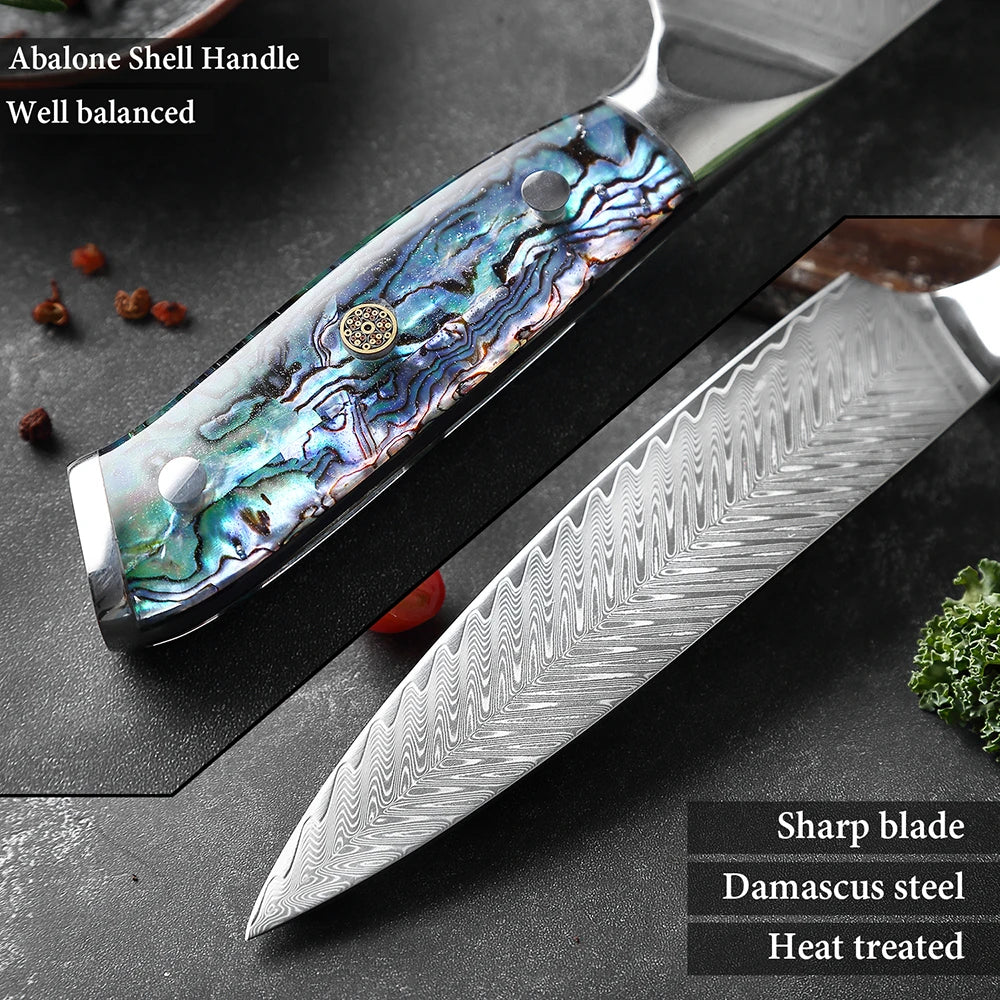 XITUO 1-5 PCS Damascus Steel knife Set Kitchen Cooking Knives Chef Knife Japanese Santoku Boning knife Exquisite Shell Handle