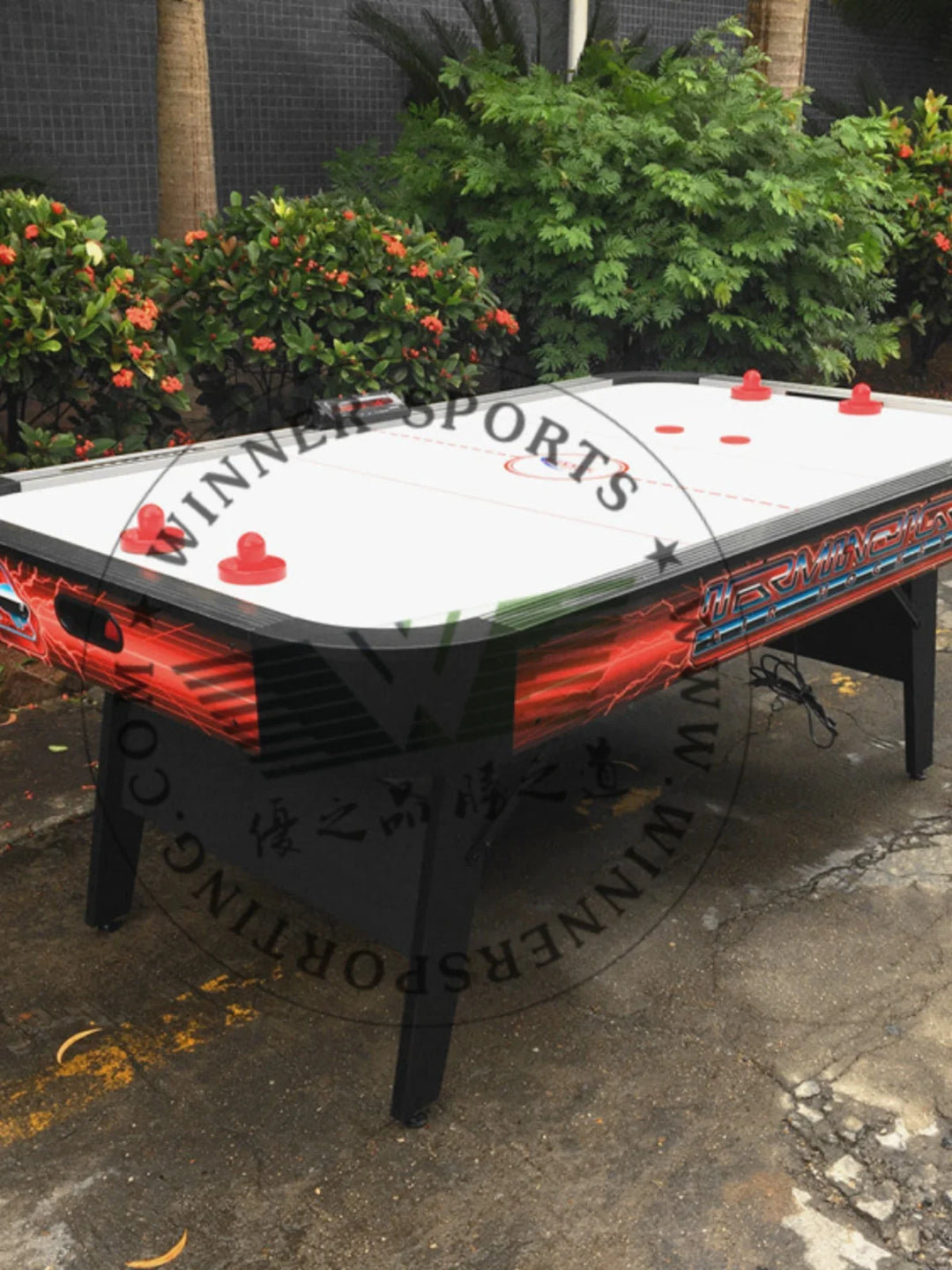 Luxury table ice hockey table home table ice hockey table standard adult table ice hockey machine fitness equipment cyclone ball