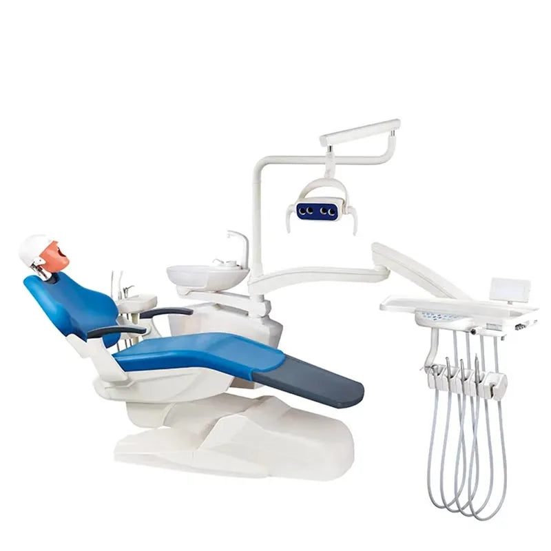 Head Model Dental Simulator Manikins Phantom For Dentist Teaching Practice Training Study Dentistry Equipment