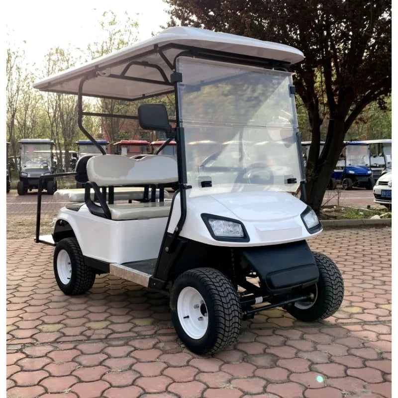 Electric Golf Cart Car 2 4 6 8 Passengers High Quality Gasoline Golf Buggy