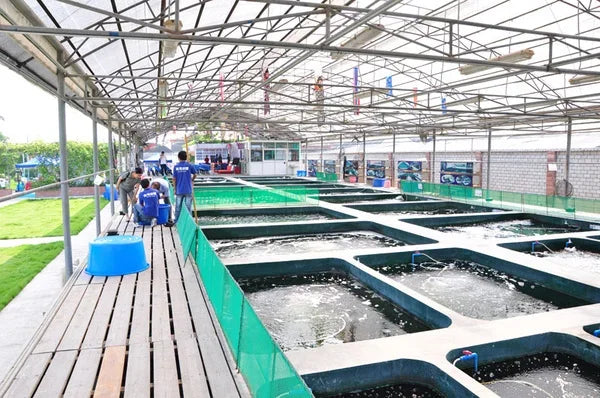 Fish Farm Aquaculture Aquarium equipment protein skimmer for fish farming wastewater treatment